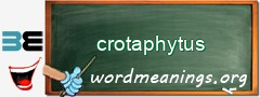WordMeaning blackboard for crotaphytus
